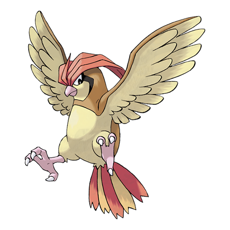 Pokemon Go: Tổng quan về Pokemon Pidgeotto