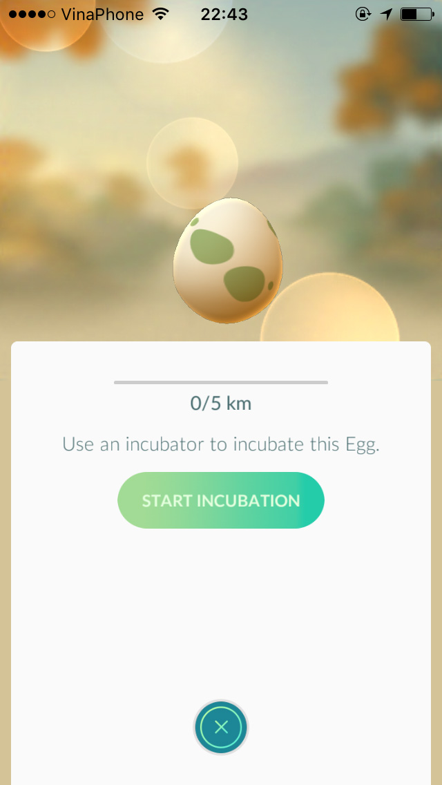 Trứng và các Pokemon nở từ trứng trong Pokemon Go
