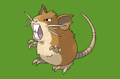 Pokemon Go: Tổng quan về Pokemon Raticate - Ảnh 7