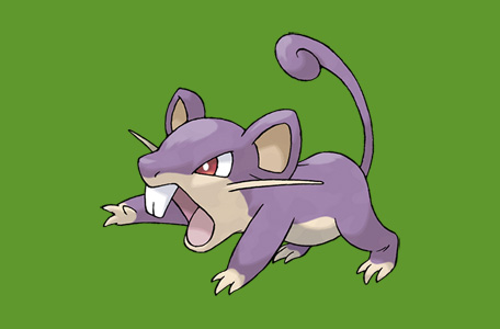 Pokemon Go: Tổng quan về Pokemon Rattata - Ảnh 1