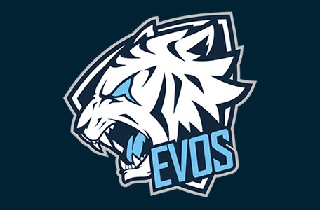 EVOS công bố đội hình tham dự VCSB Hè 2017 - Ảnh 1