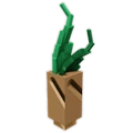 Mandrake Seed