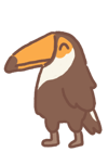 bigmouth-bird
