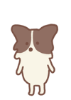 black-papillon