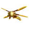 dragonflyicon