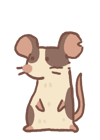 fancy-rat