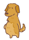 golden-retriever