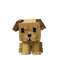 goldenlabpet