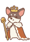king-chihuahua