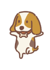 little-beagle