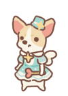 magic-chihuahua