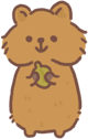 quokka