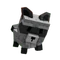 raccoon