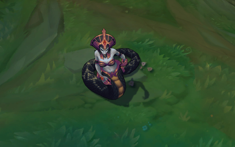 goi da sac cassiopeia