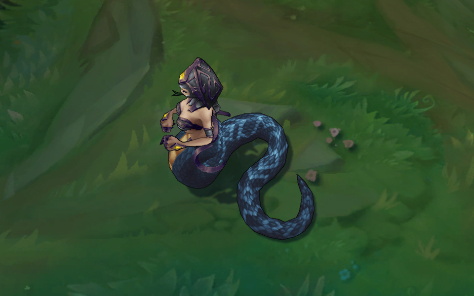 goi da sac cassiopeia