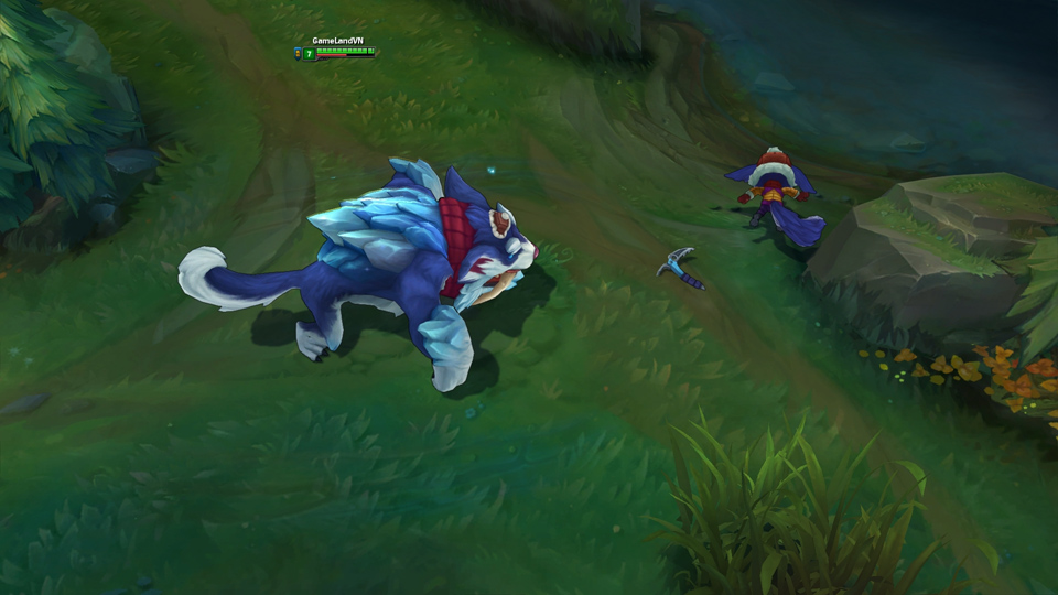 gnar ngay tuyet roi