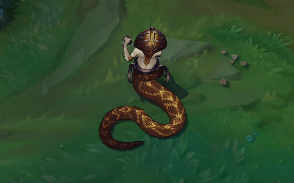 goi da sac cassiopeia