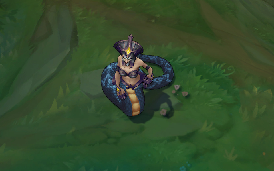 goi da sac cassiopeia
