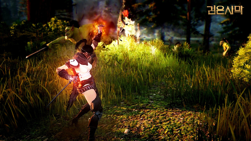 black desert kunoichi
