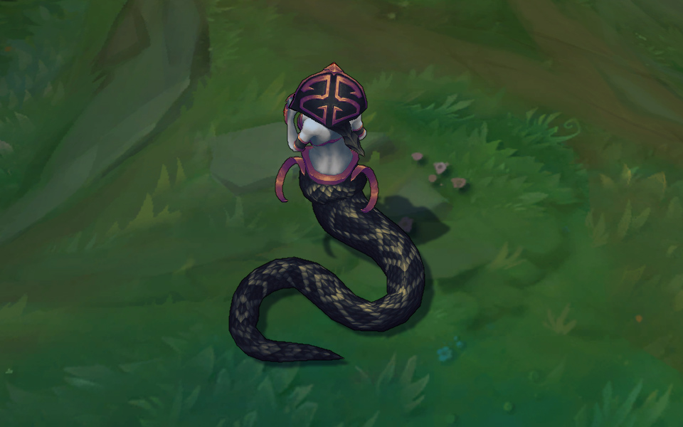 goi da sac cassiopeia