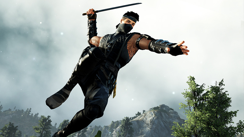 Black Desert Ninja