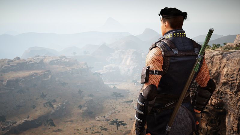 Black Desert Ninja