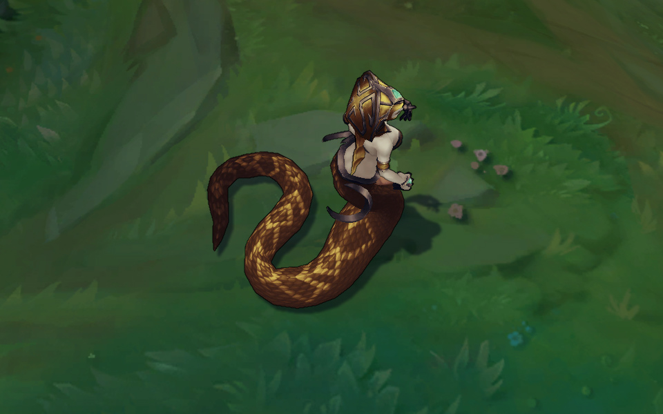 goi da sac cassiopeia
