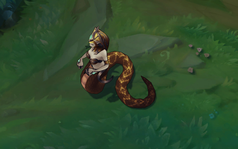 goi da sac cassiopeia