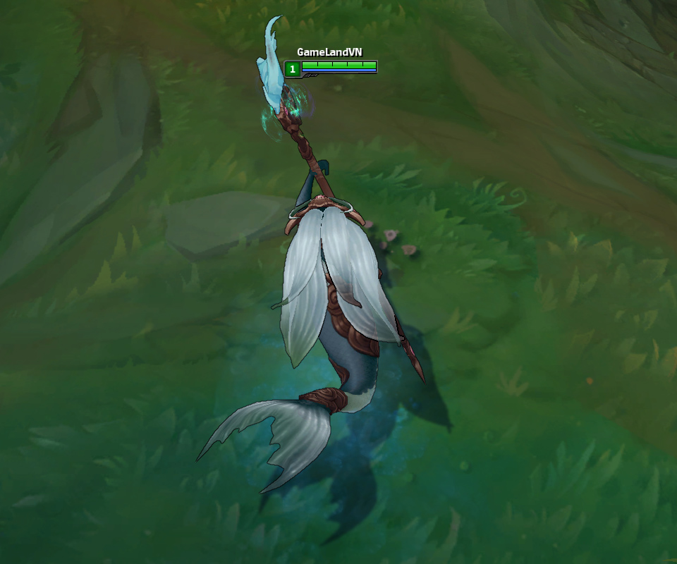 goi da sac nami tieu long ngu