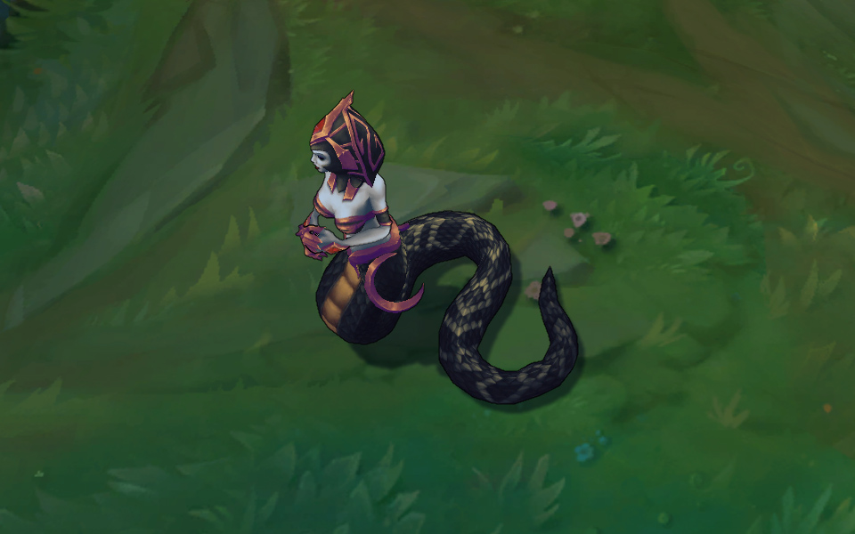 goi da sac cassiopeia