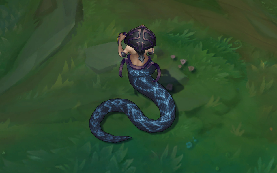 goi da sac cassiopeia