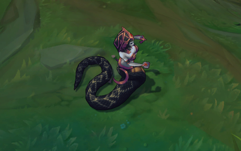 goi da sac cassiopeia