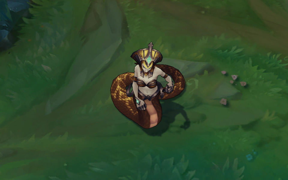 goi da sac cassiopeia