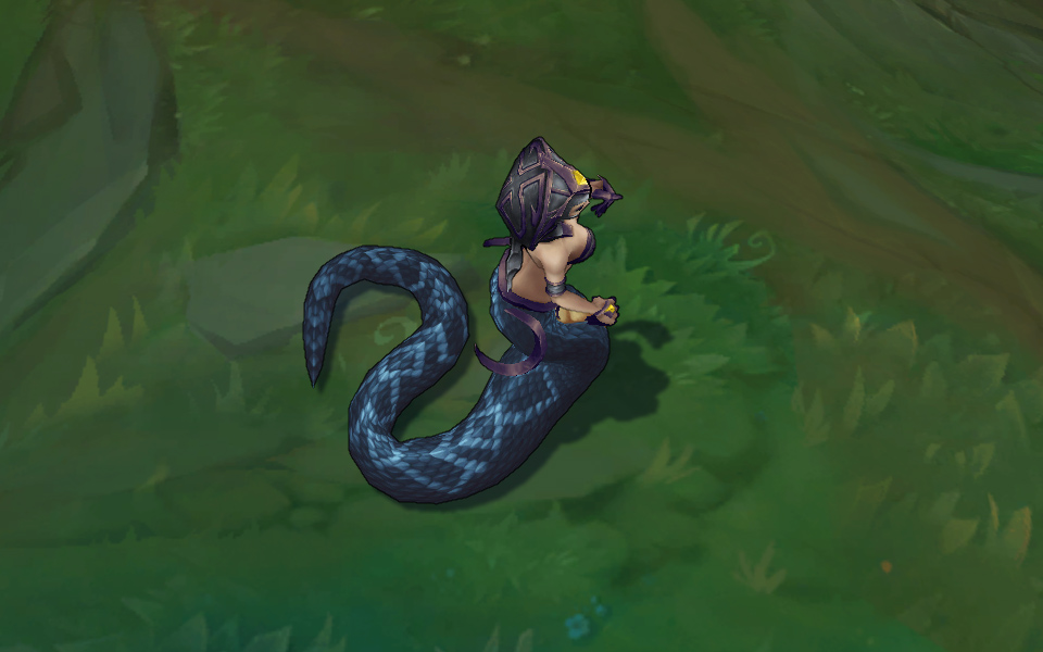 goi da sac cassiopeia