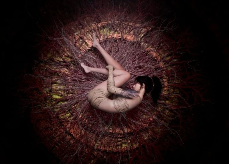 Cha đẻ Wuchang: Fallen Feathers làm phần tiếp theo